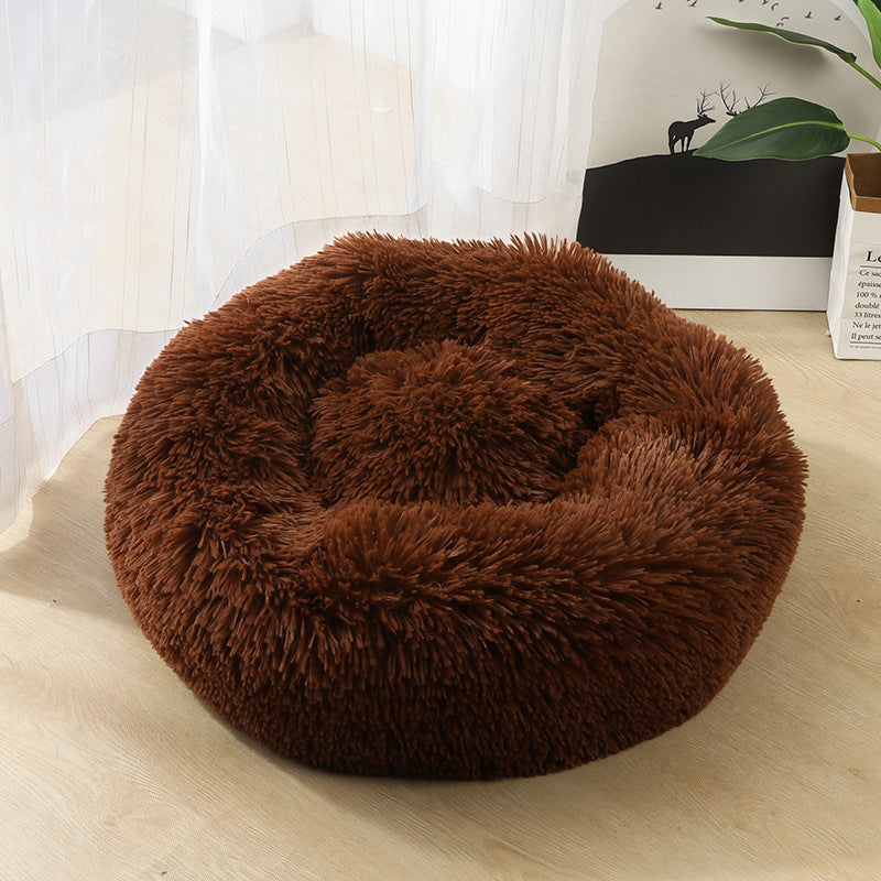 Dog Beds For Small