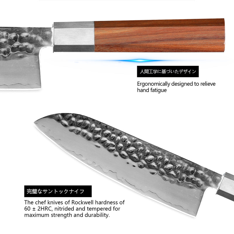 Japanese Chef Knife - 8 Inch Professional Chef's Knife Ultra Sharp Kitchen Knife Japanese 9-Layers VG-10 Clad