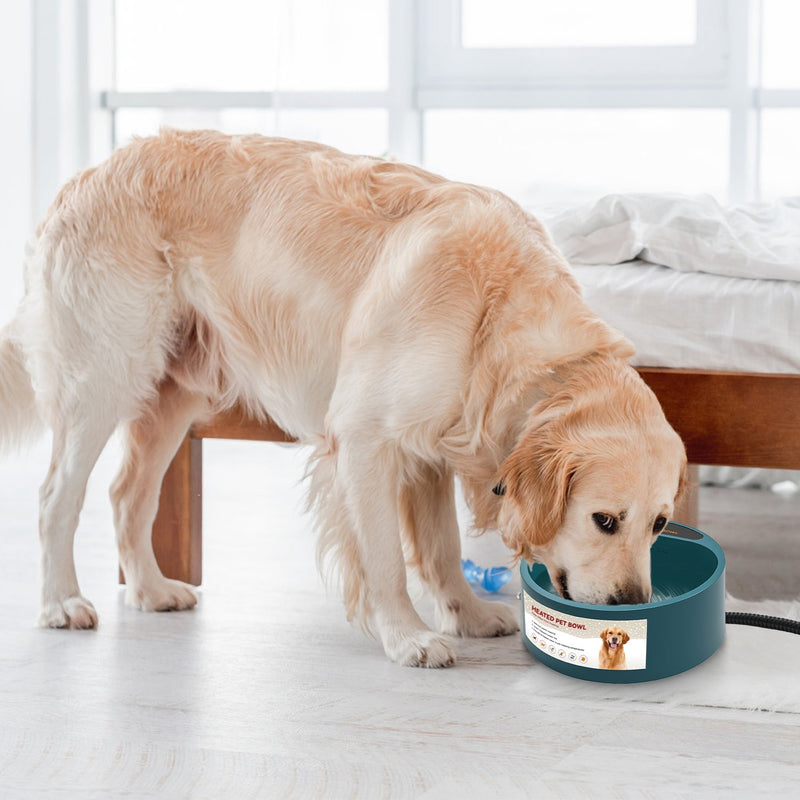 Heated Water Bowl For Dog Cat