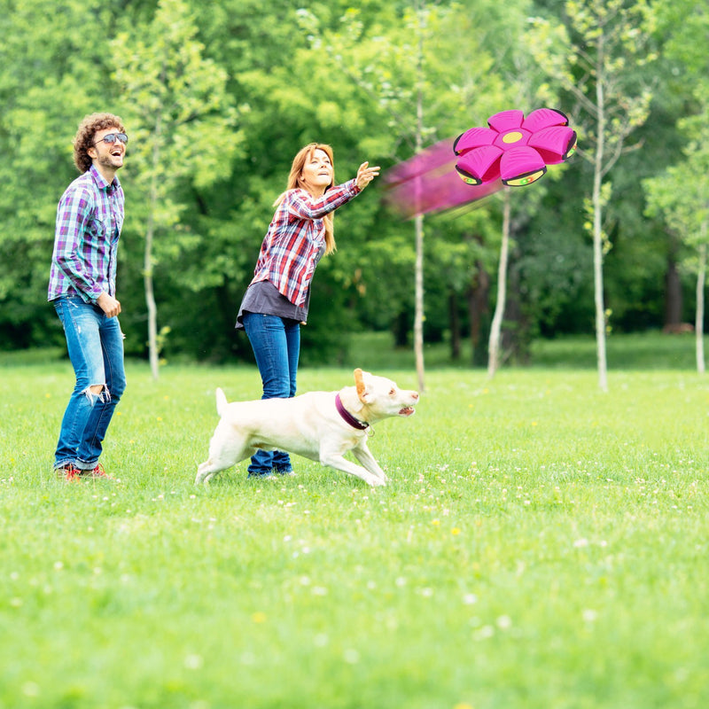 4 Pack Flying Saucer Ball Electric