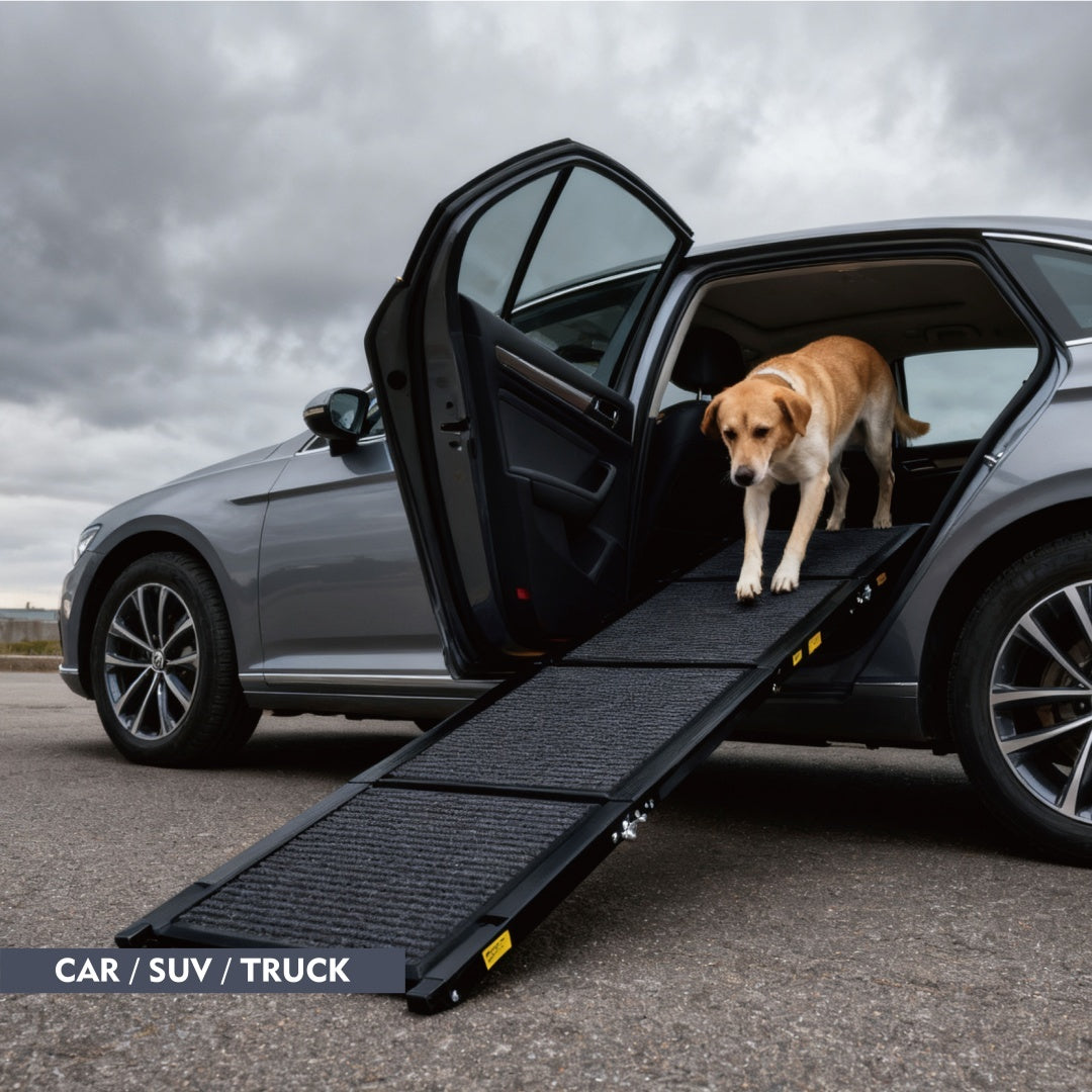 Dog Ramp For Car 71 Long  19.5 Wide Portable Dog Ramps For Large Dogs