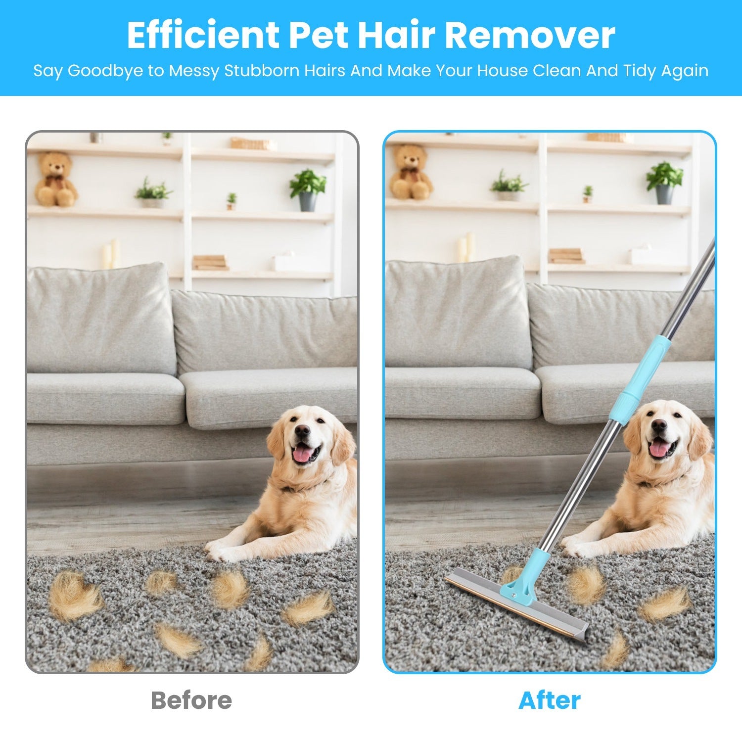 Pet Hair Removal