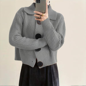 Women's Solid Color Free Size Sweater