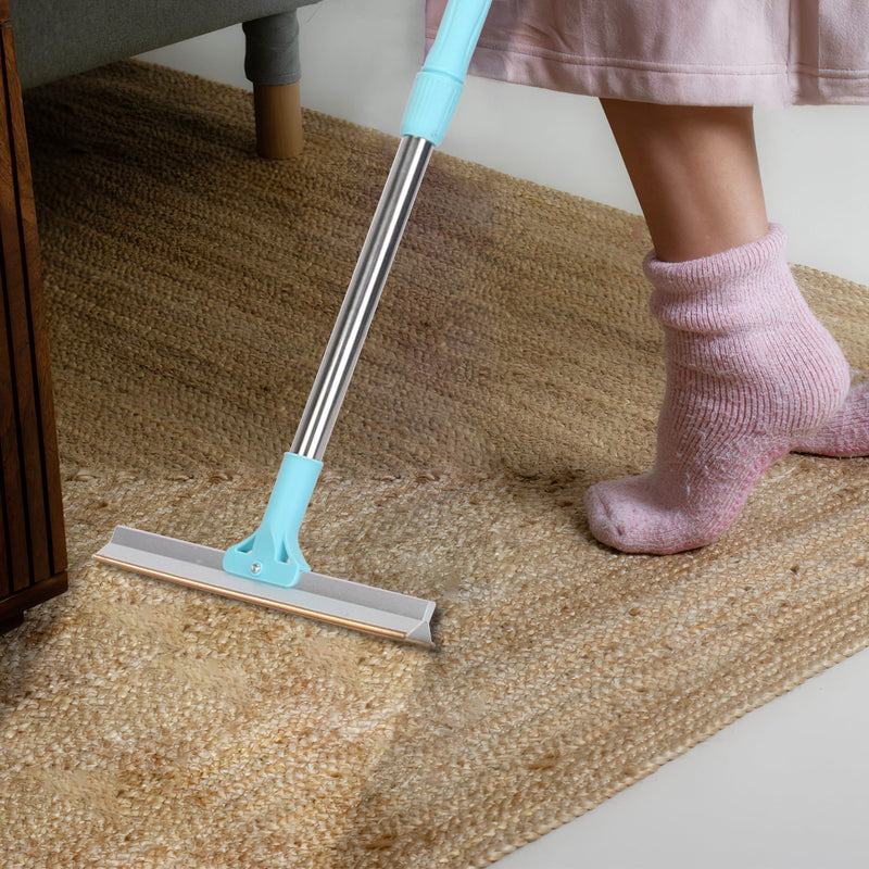 Pet Hair Removal