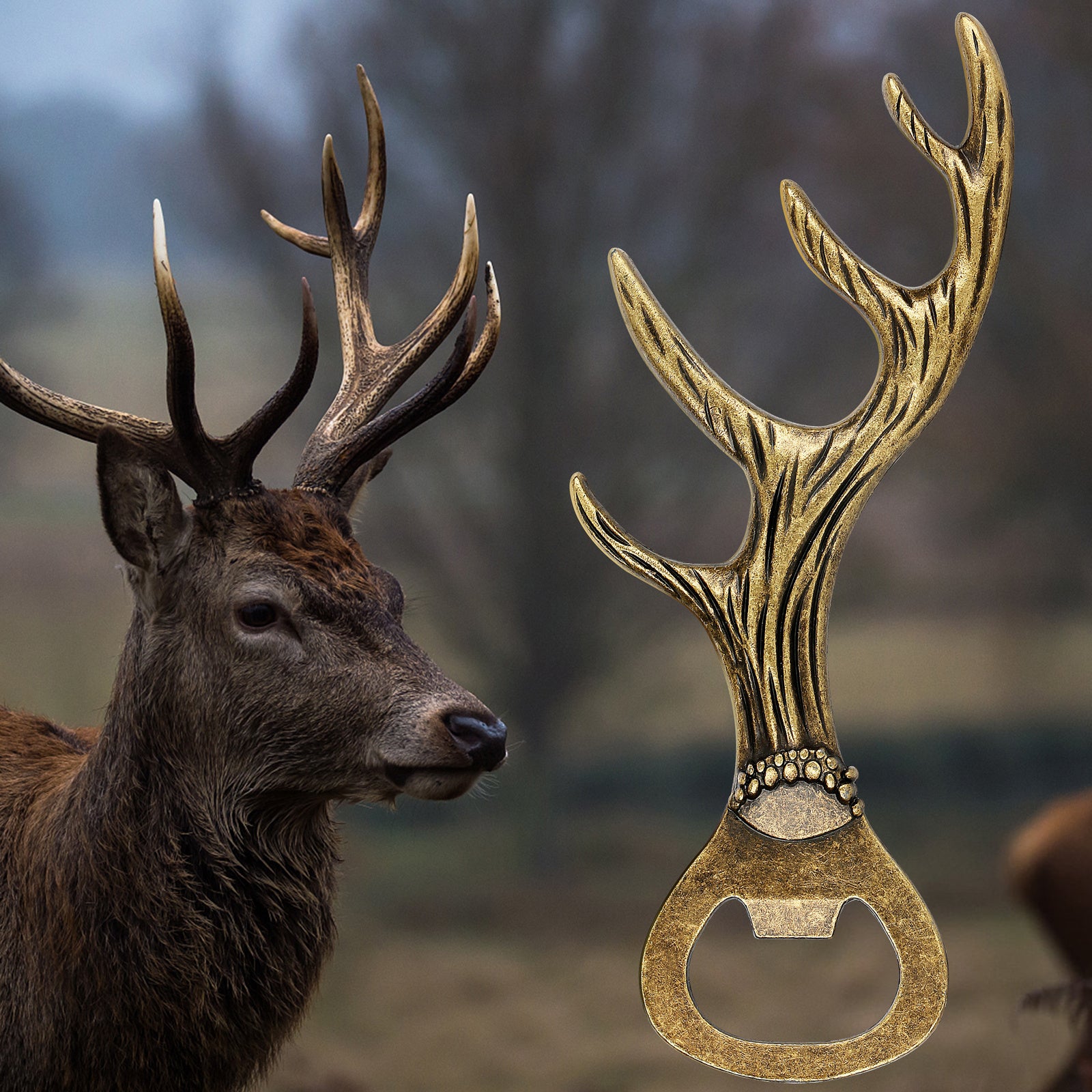 Deer Antler Bottle Opener Is A Small Tool Suitable For Various Parties And Gatherings Used To Open Beer