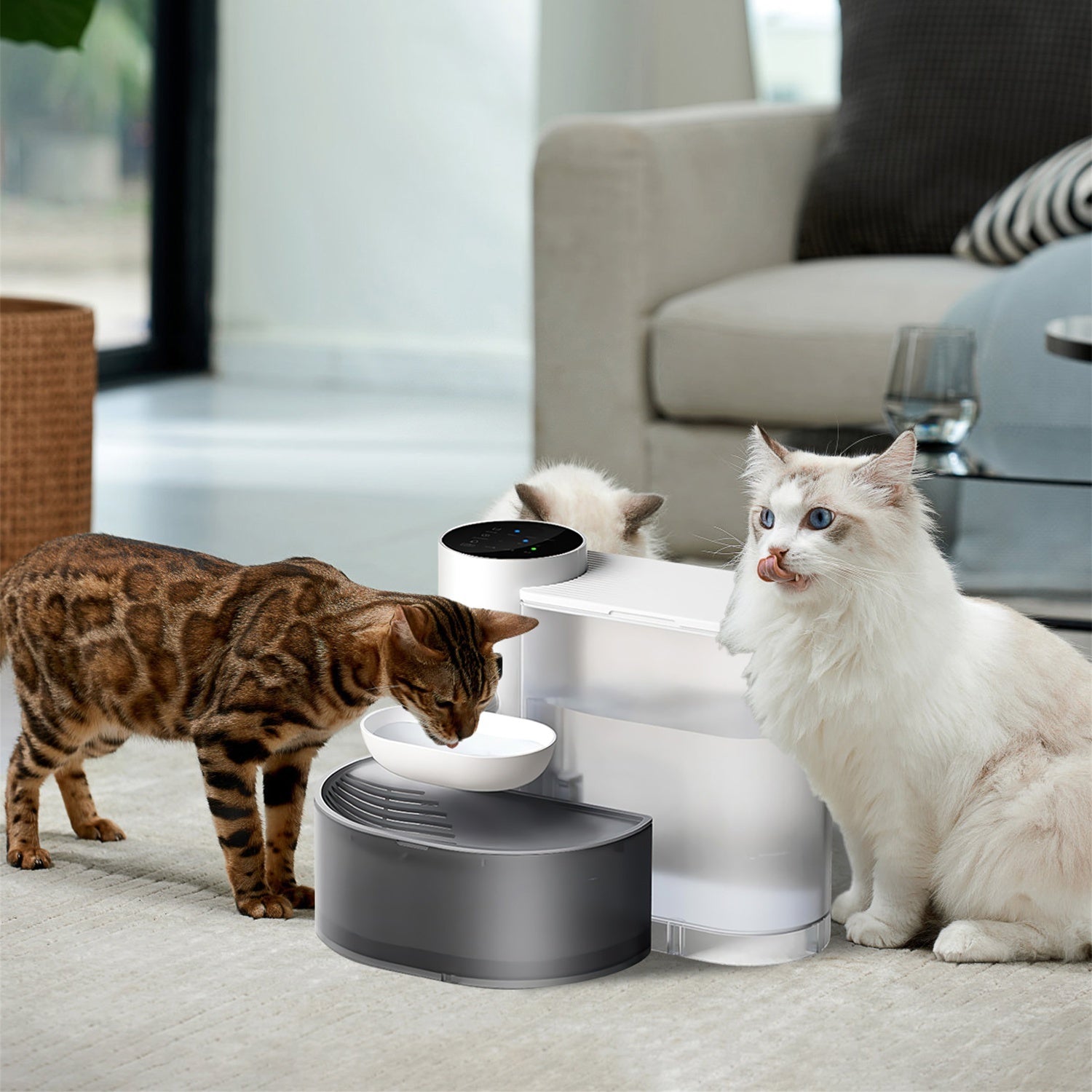 1Pc Smart Pet Water Fountain Automatic Cat Water