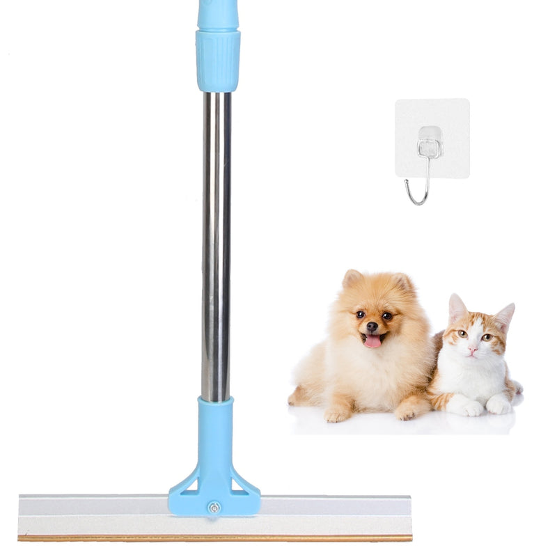 Pet Hair Removal