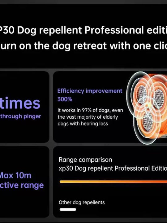 2025 New Dog Trainer