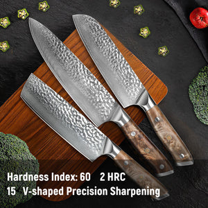 Damascus Chef Knife, 10Cr15MOV Japanese Kitchen Knives Set With Full Tang G10 Handle