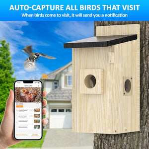 Smart Bird Houses For Outside Solar