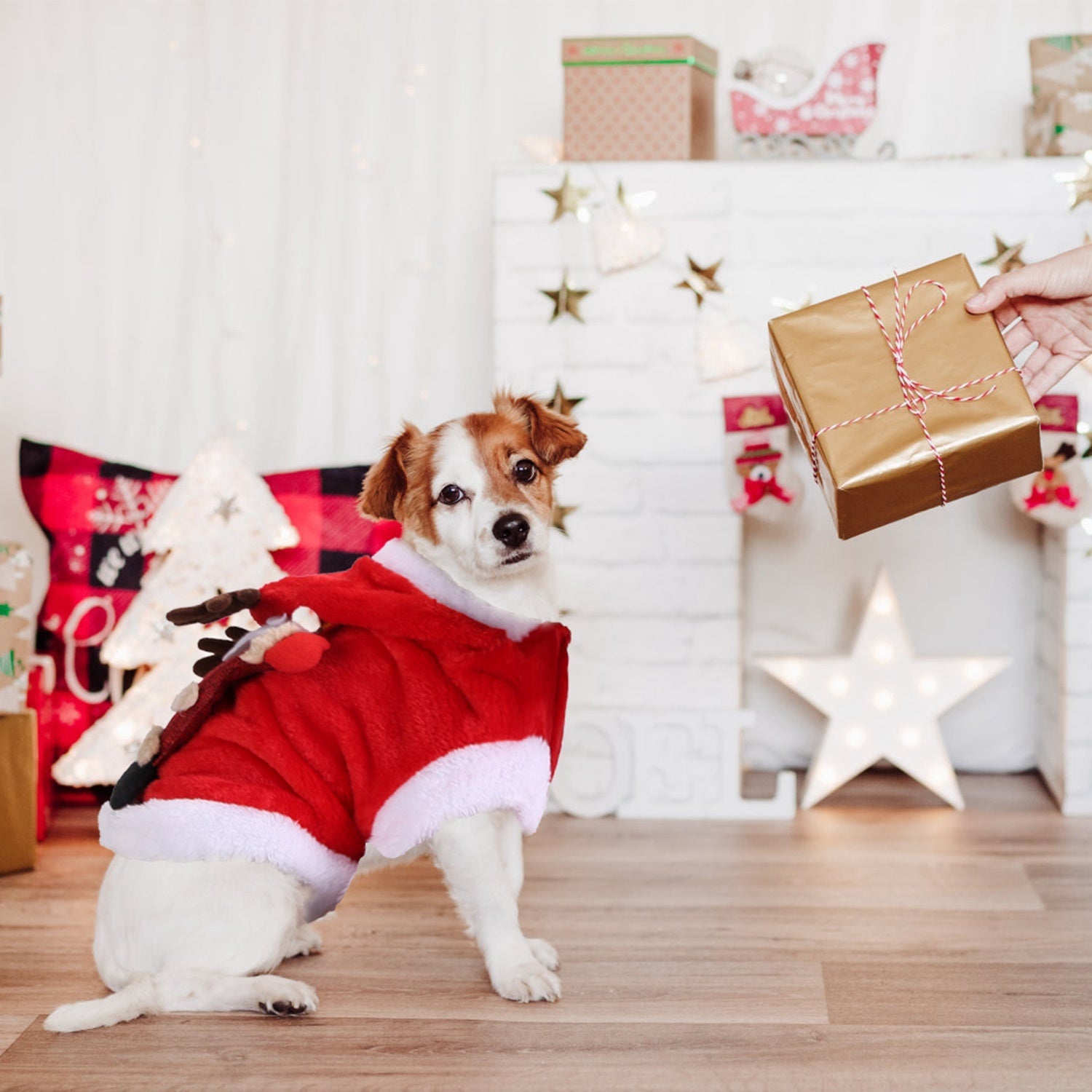 1Pc Pet Christmas Clothes Santa