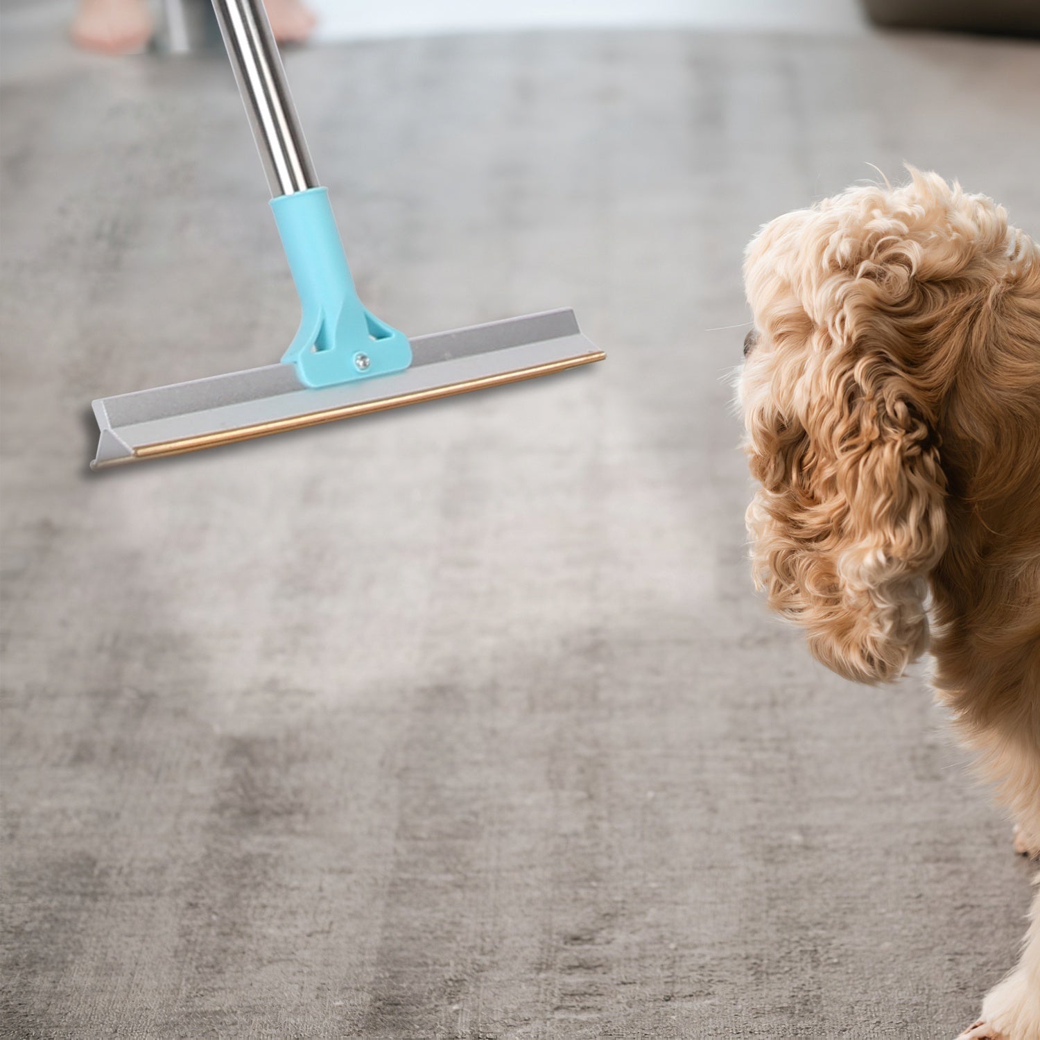 Pet Hair Removal