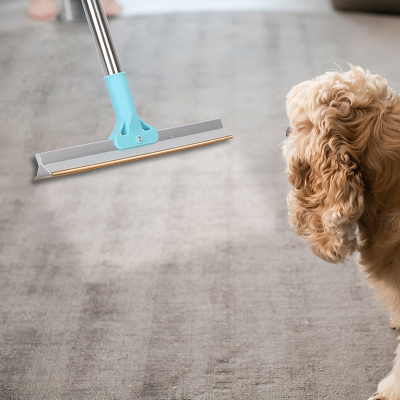 Pet Hair Removal