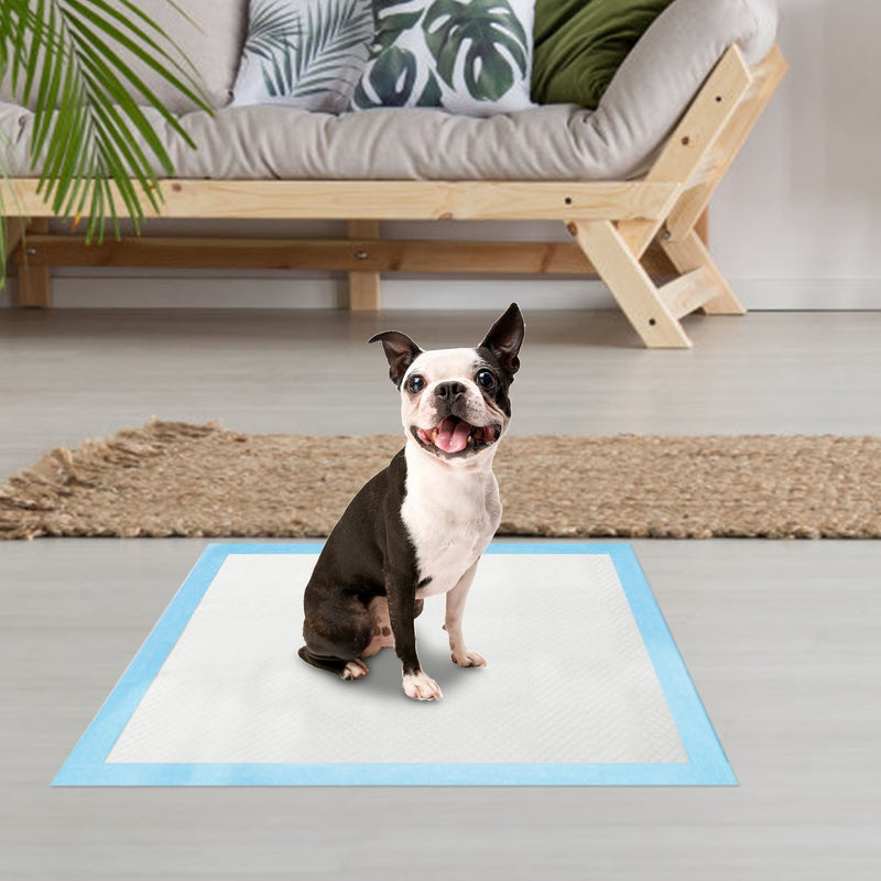 50Pcs Per Set Dog Training Pads