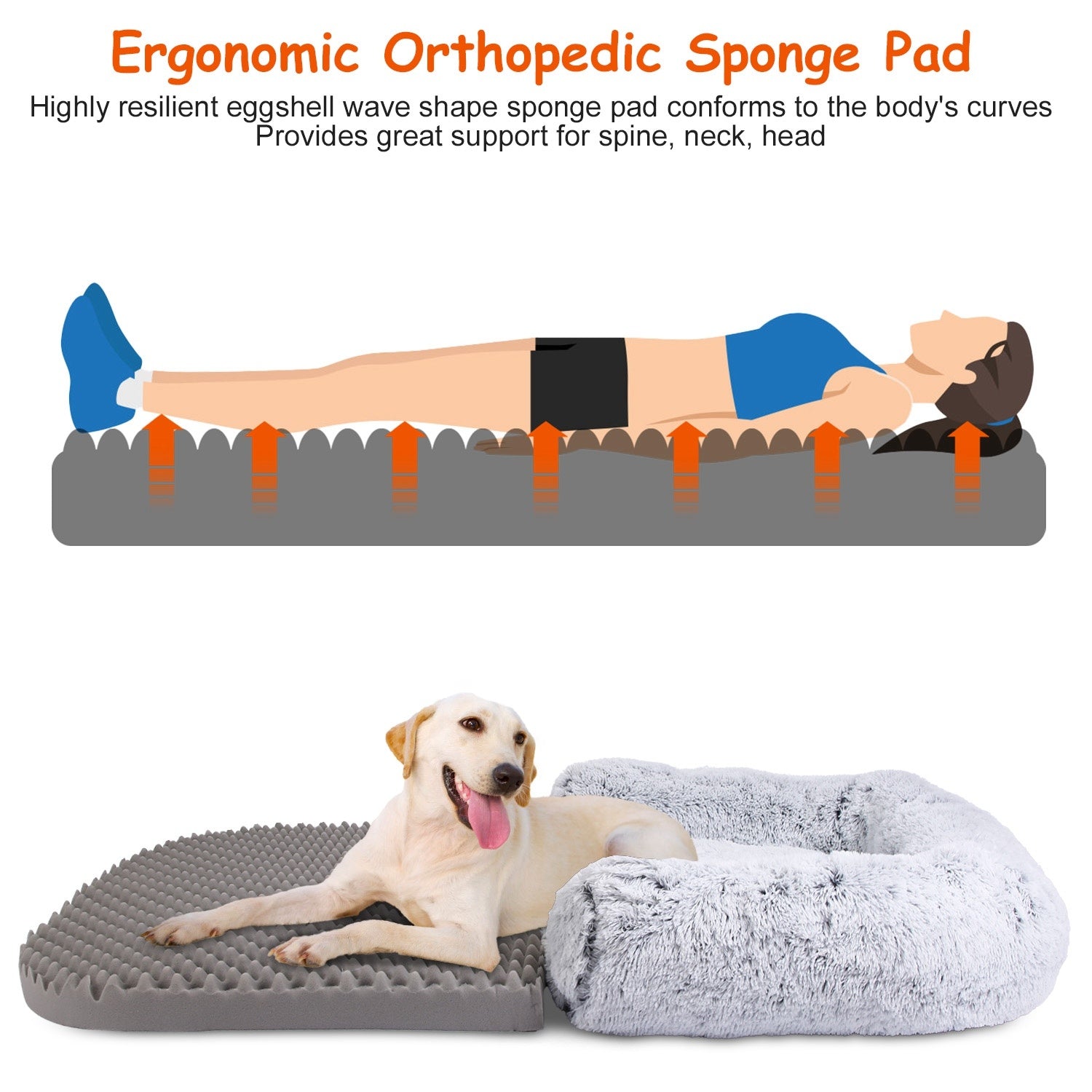 Large Foldable Human Size Dog Bed