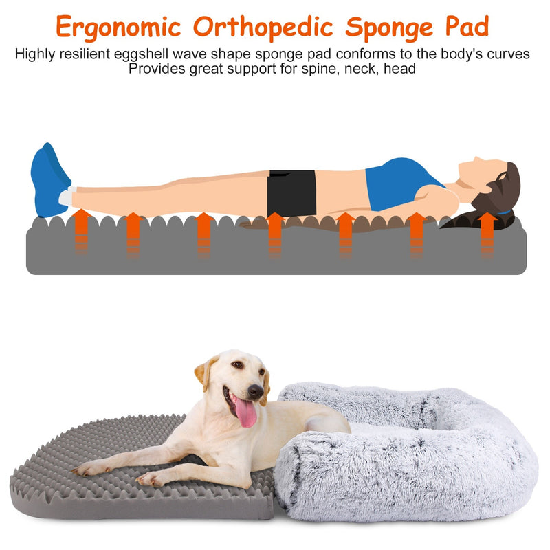 Large Foldable Human Size Dog Bed
