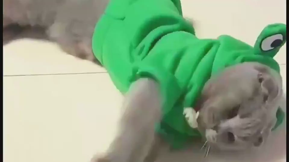 Load video: 123