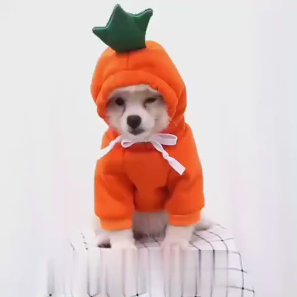 Load video: 123