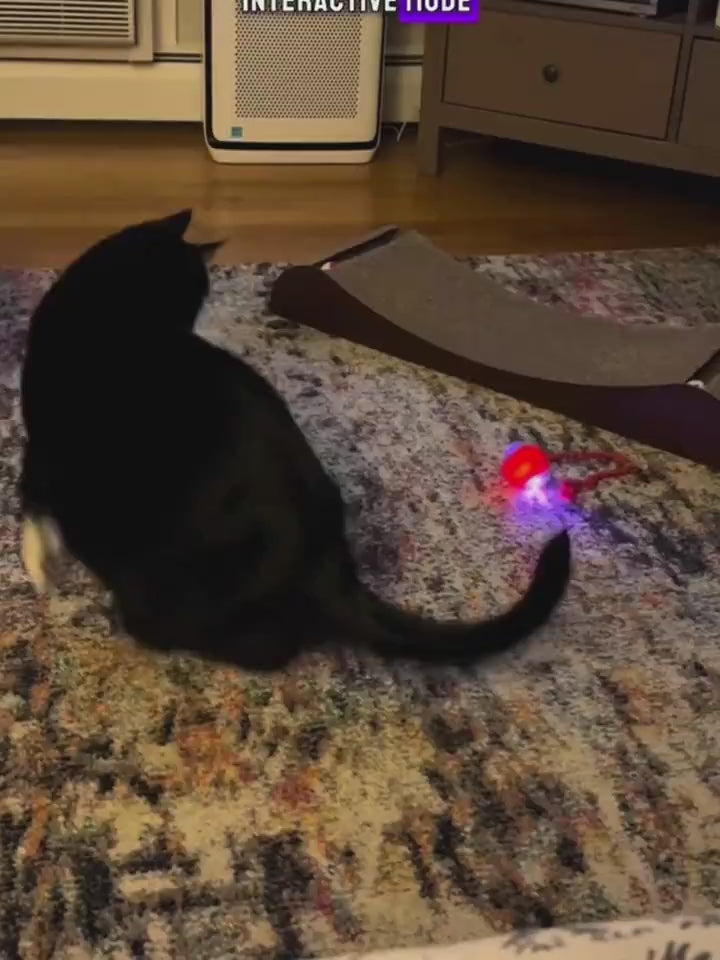 Load video: 123