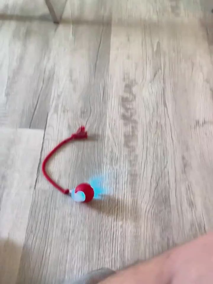 Load video: 123
