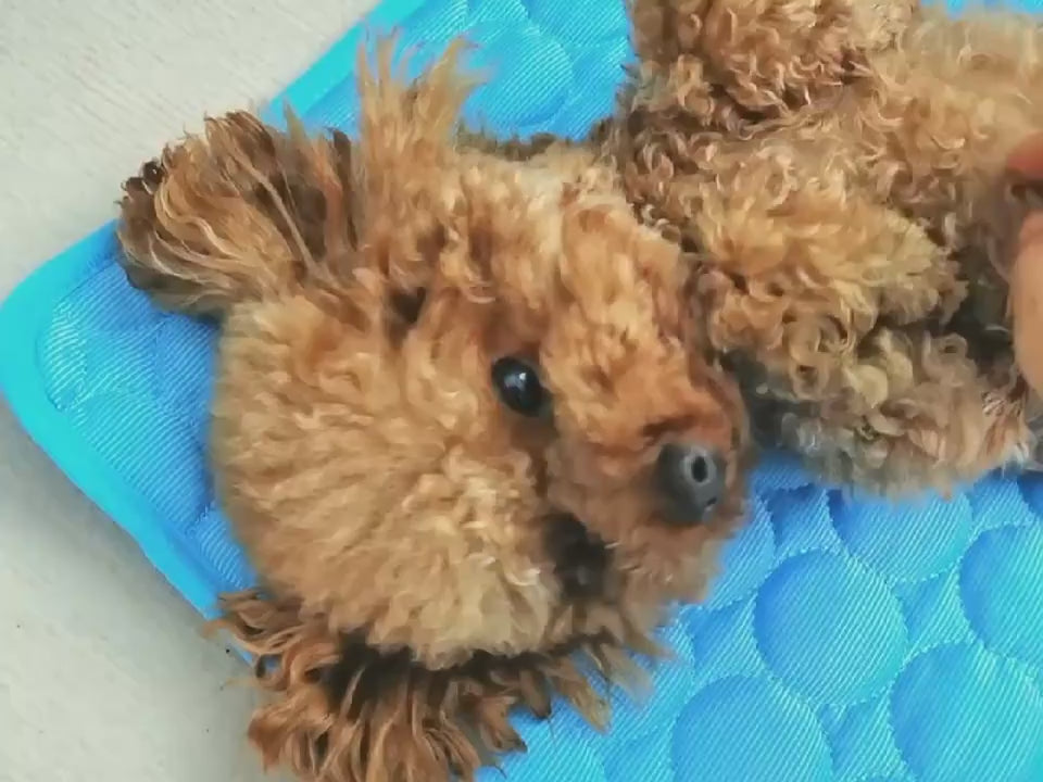 Load video: 123
